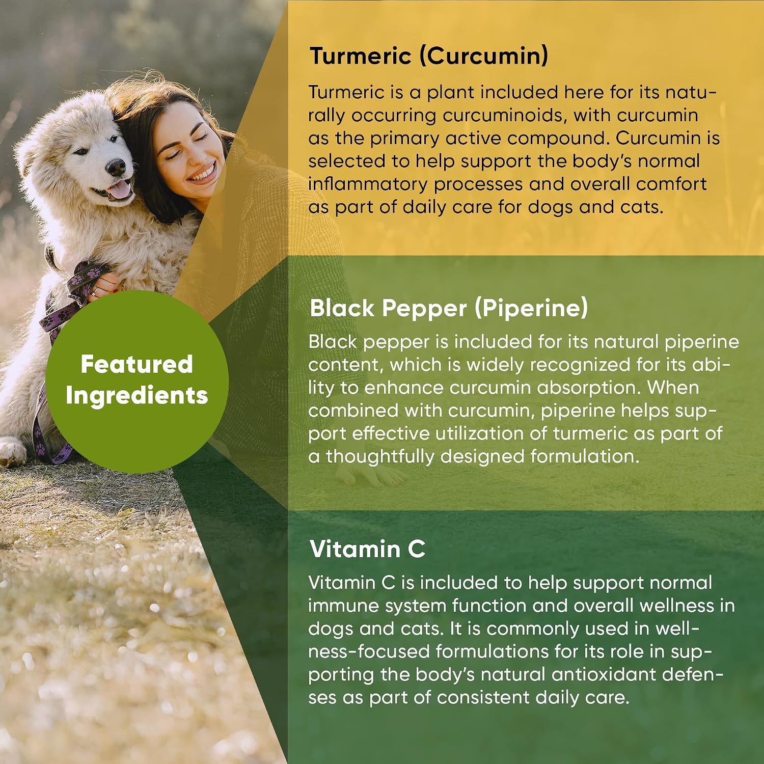 Rooted Owl® Cúrcuma para Perros y Gatos - Suplemento con Curcumina, Piperina y Vitamina C - 60 Cápsulas
