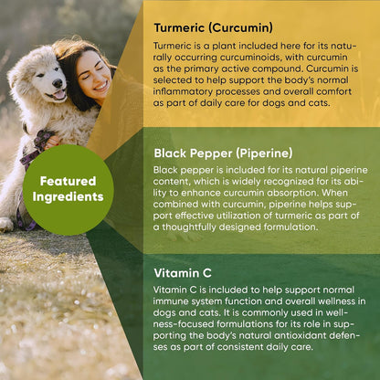 Rooted Owl® Cúrcuma para Perros y Gatos - – Consulta veterinaria: Cada animal tiene necesidades específicas. Un – Image 4