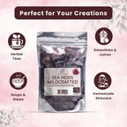 Herb To Body Purple Sea Moss – 4oz (113g) Alga Púrpura Silvestre de Saint Lucia