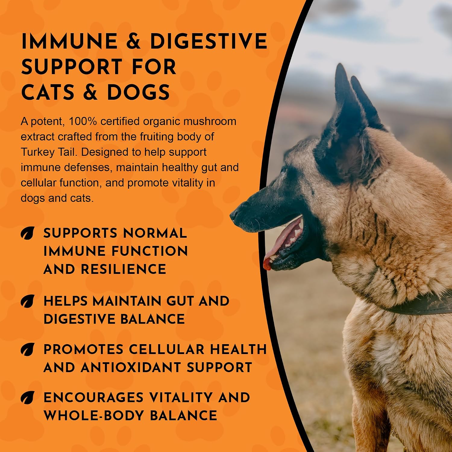 Animal Essentials Combat - Suplemento de Cola de Pavo Orgánico para Perros y Gatos - Defensa Inmune Crítica, Apoya la Función Cognitiva, Extracto en Polvo - 70 g