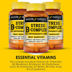 MASON NATURAL Stress B Complex con Antioxidantes y Zinc, Suministro para 6 Meses, Fórmula de Acción Dual, Apoya el Metabolismo Energético y la Salud Inmunológica, 3 Paquetes