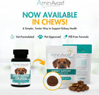AminAvast Kidney Supplement for Dogs - Supports Natural Kidney Function - 1000mg, 60 Capsules
