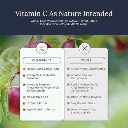 Infinity-C Mezcla Orgánica de Vitamina C en Polvo | Acerola, Camu Camu y Amla | 1000mg | Vegano, Sin OGM (30 porciones) – Image 9
