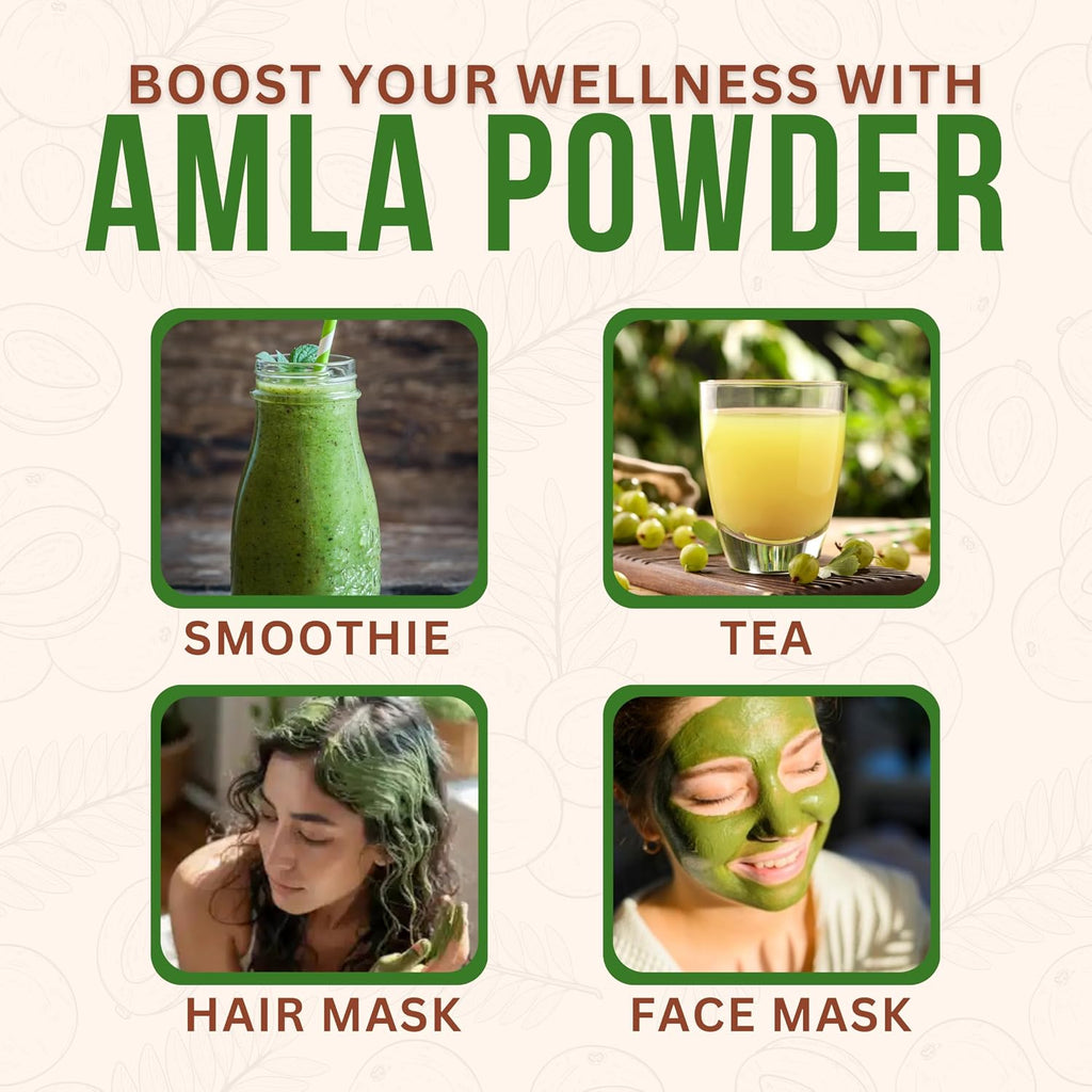 Exotic Veda Polvo de Amla Puro - 100g (100% Natural)