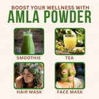 Exotic Veda Polvo de Amla Puro - 100g (100% Natural)