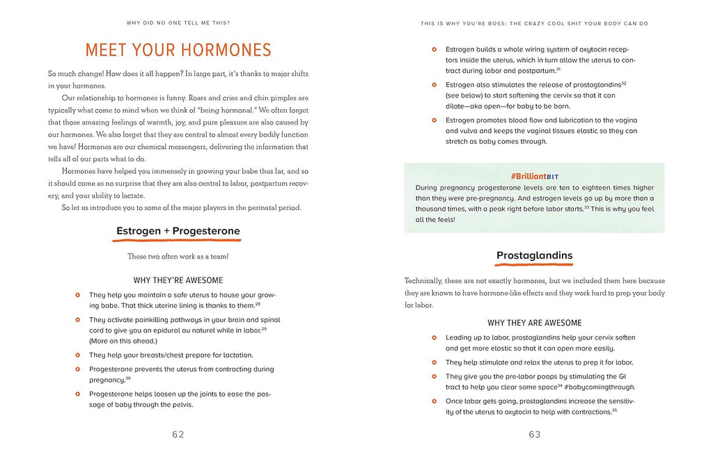 Why Did No One Tell Me This?: The Doulas' (Honest) Guide for Expectant Parents
