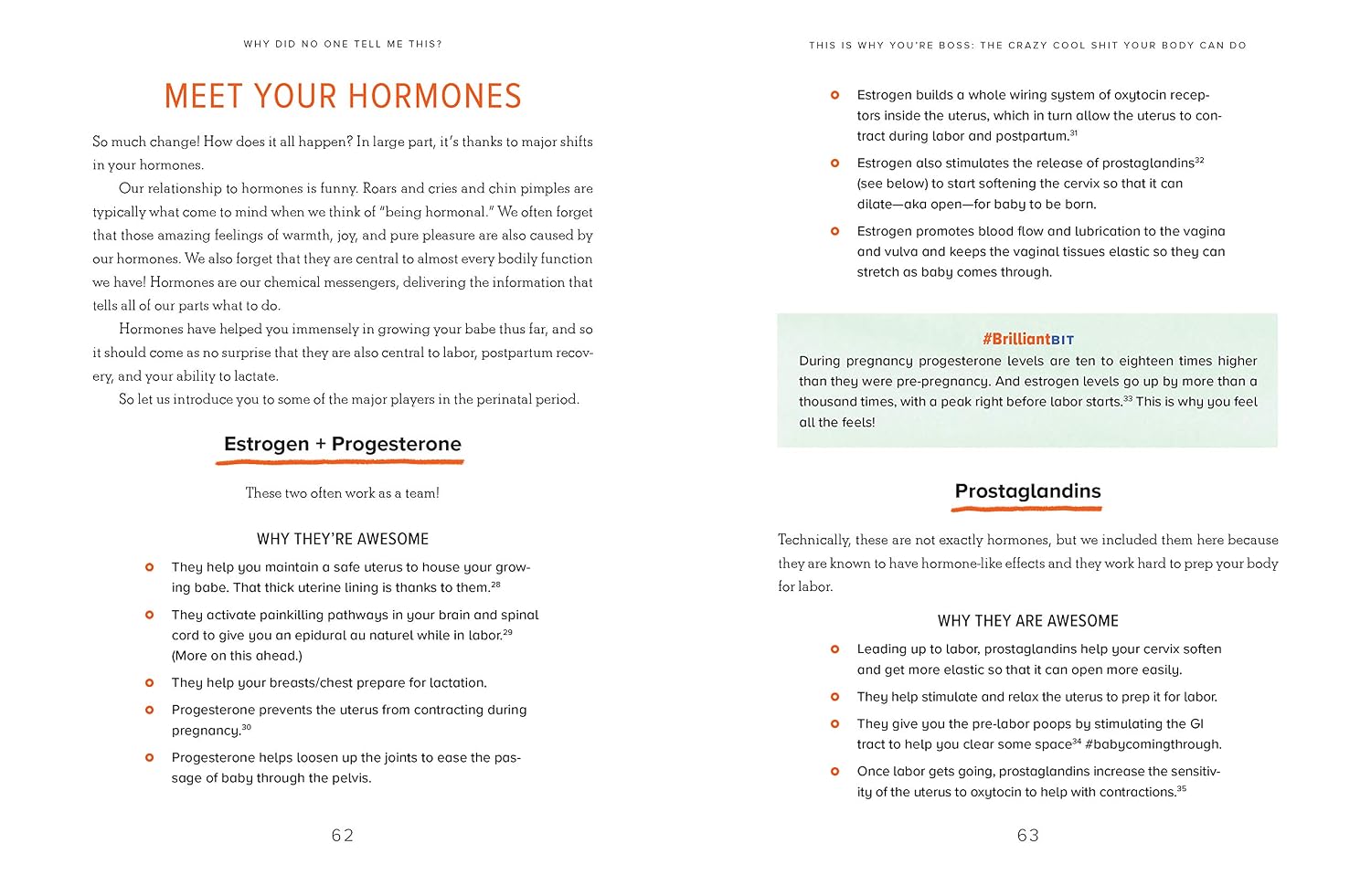 Why Did No One Tell Me This?: The Doulas' (Honest) Guide for Expectant Parents