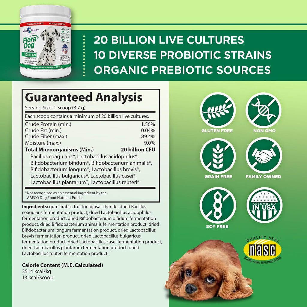 Vital Planet Flora Dog Probióticos en Polvo para Perros - 20 Mil Millones de UFC - 60 Dosis