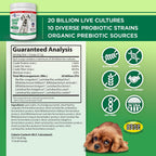 Vital Planet Flora Dog Probióticos en Polvo para Perros - 20 Mil Millones de UFC - 60 Dosis