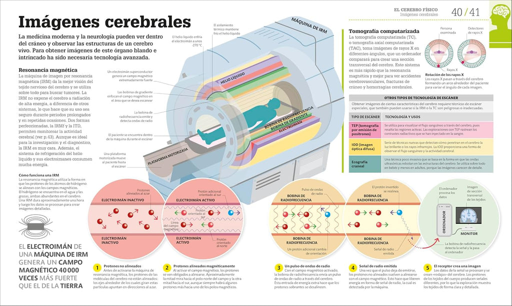 Cómo funciona el cerebro (How the Brain Works) (DK How Stuff Works)