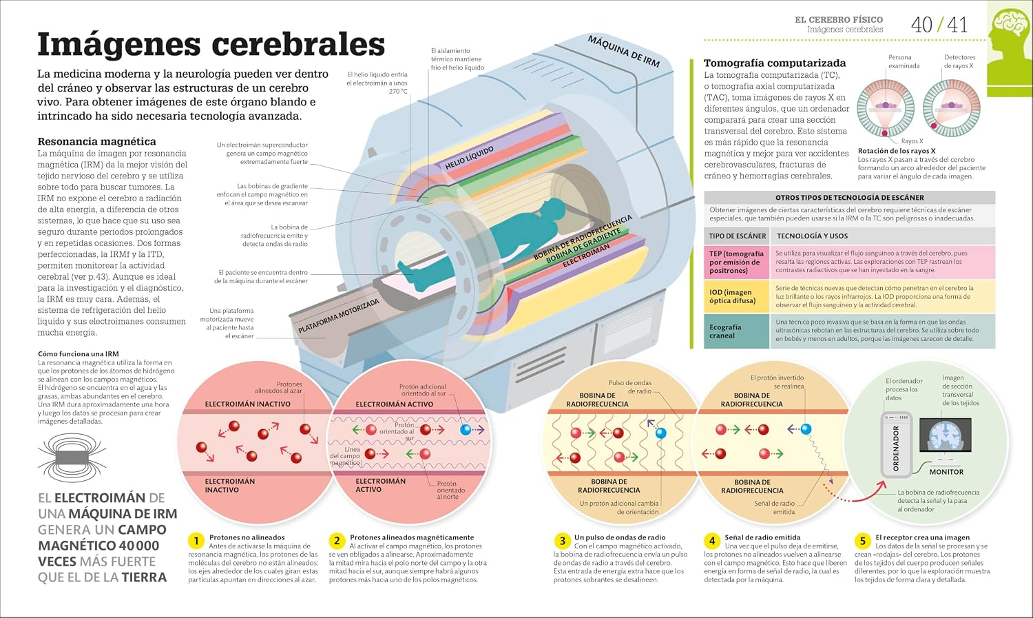 Cómo funciona el cerebro (How the Brain Works) (DK How Stuff Works)