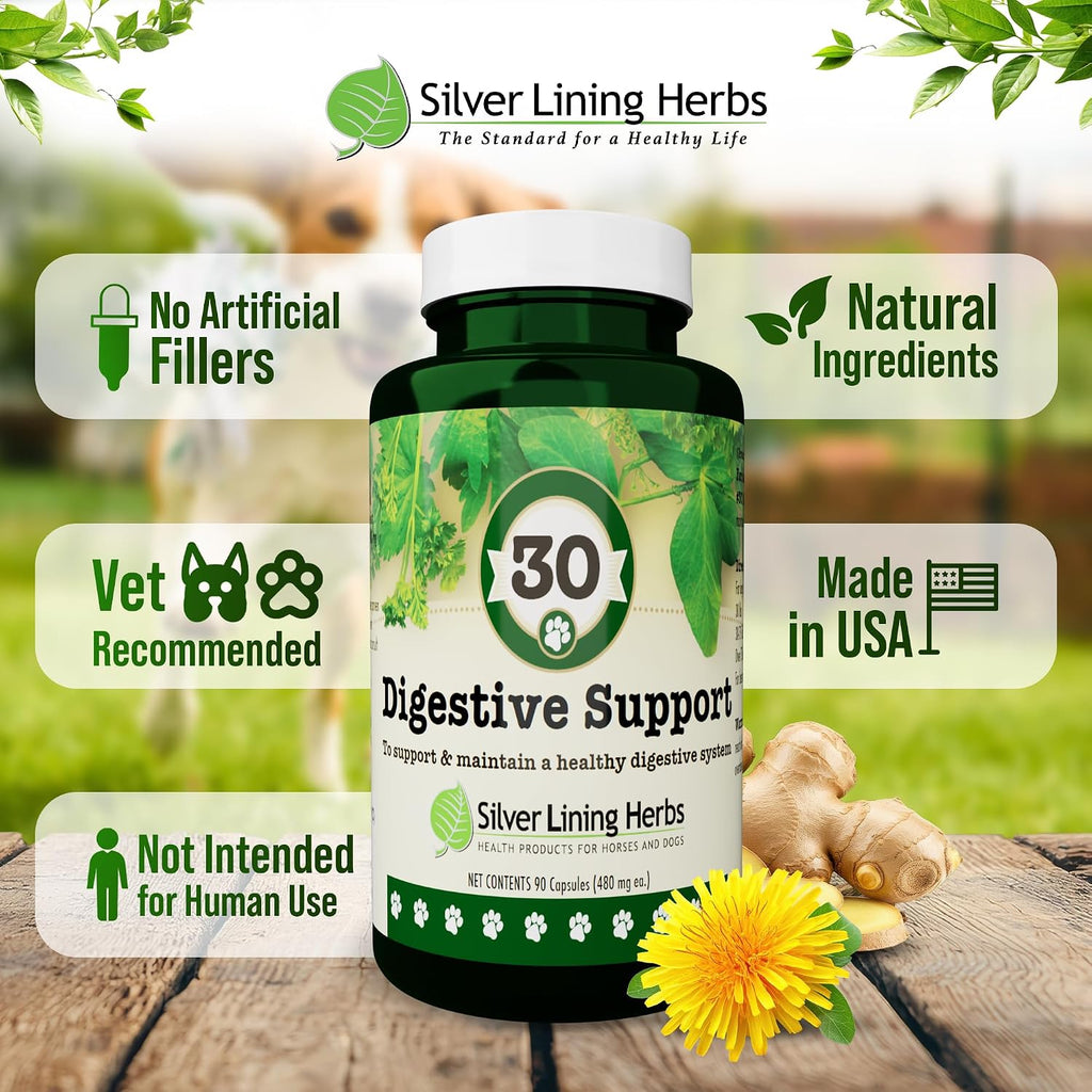 Digestive Support for Dogs - Natural Herbal Supplement - 90 Capsules