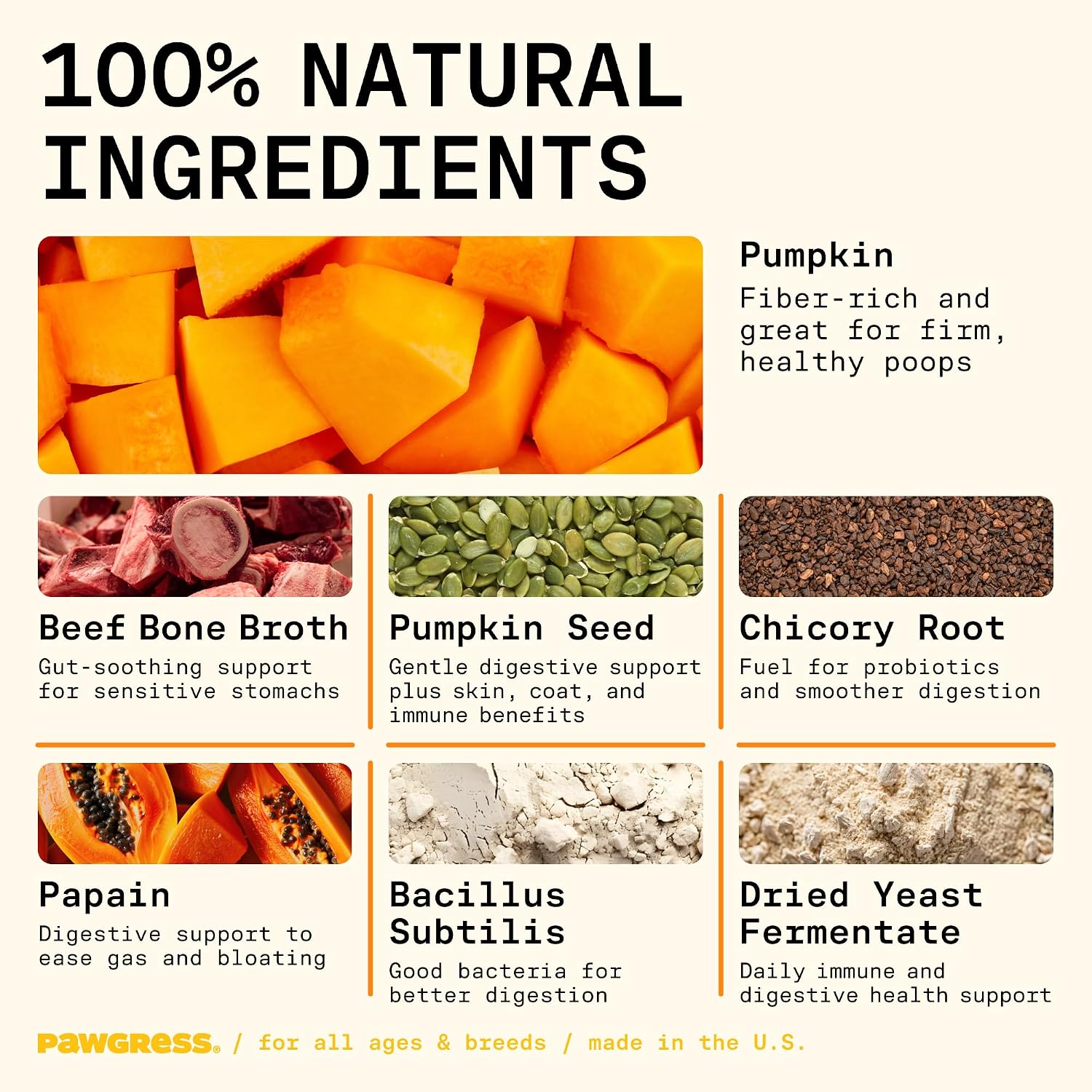 5-in-1 Probiótico en Polvo para Perros – Apoyo Digestivo Natural con Prebióticos, Postbióticos y Enzimas – Fabricado en EE.UU. – 30 Dosis