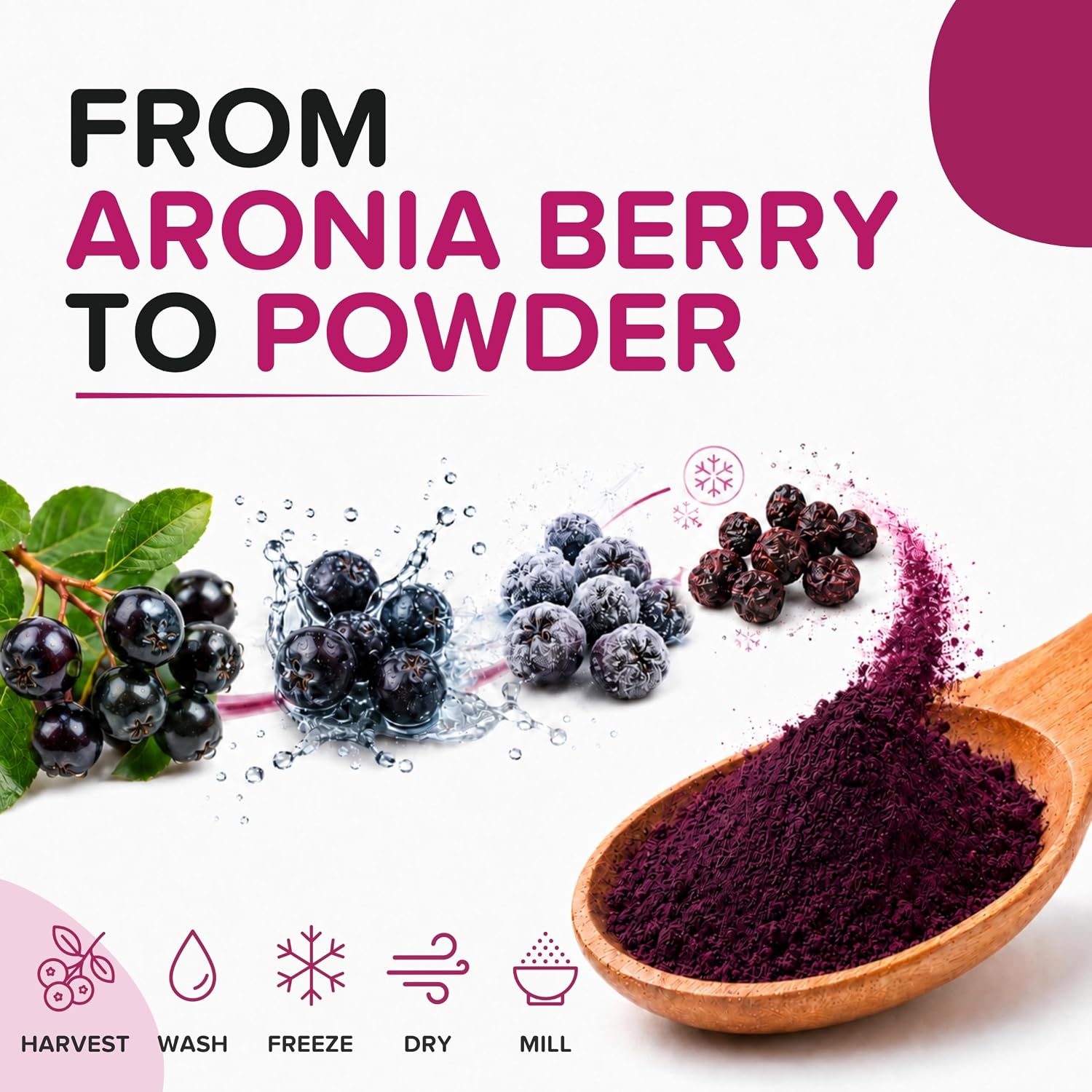 Polvo de Aronia Natural - Bayas de Chokeberry Negro (453g)