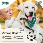 Irish Sea Moss Drops for Dogs - Thyroid Support & Energy - Nutritional Drops with Liquid Seamoss Extract - Dog Vitamins and Supplements for All Breeds & Sizes - Alcohol-Free - 59 ml
