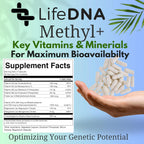 LIFEDNA Methyl + Methylfolate - Methylated Folate Vitamins Active 5-MTHF TMG Optimized Homocysteine, Brain, Cardiovascular Highly Bioavailable, MTHFR Supplement