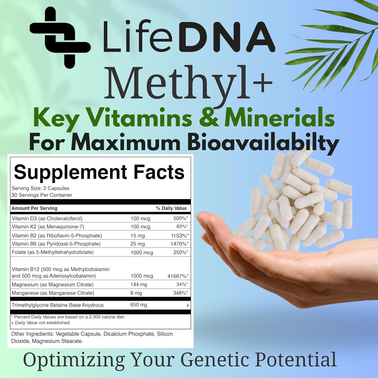 LIFEDNA Methyl + Methylfolate - Methylated Folate Vitamins Active 5-MTHF TMG Optimized Homocysteine, Brain, Cardiovascular Highly Bioavailable, MTHFR Supplement
