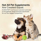 Happy Immune Support Polvo de Hongos para Perros, 7 Hongos Orgánicos, 3.5 oz