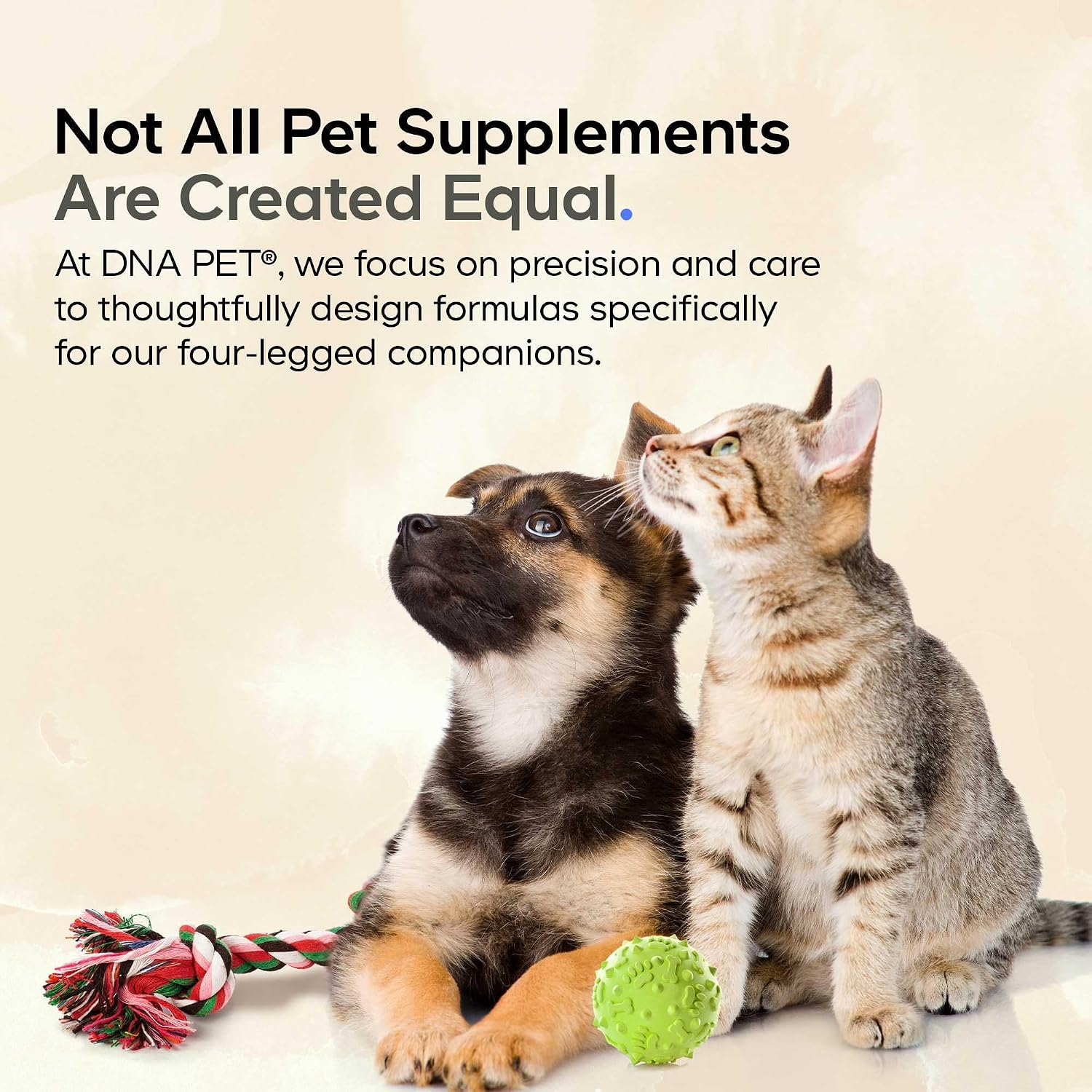 Happy Immune Support Polvo de Hongos para Perros, 7 Hongos Orgánicos, 3.5 oz