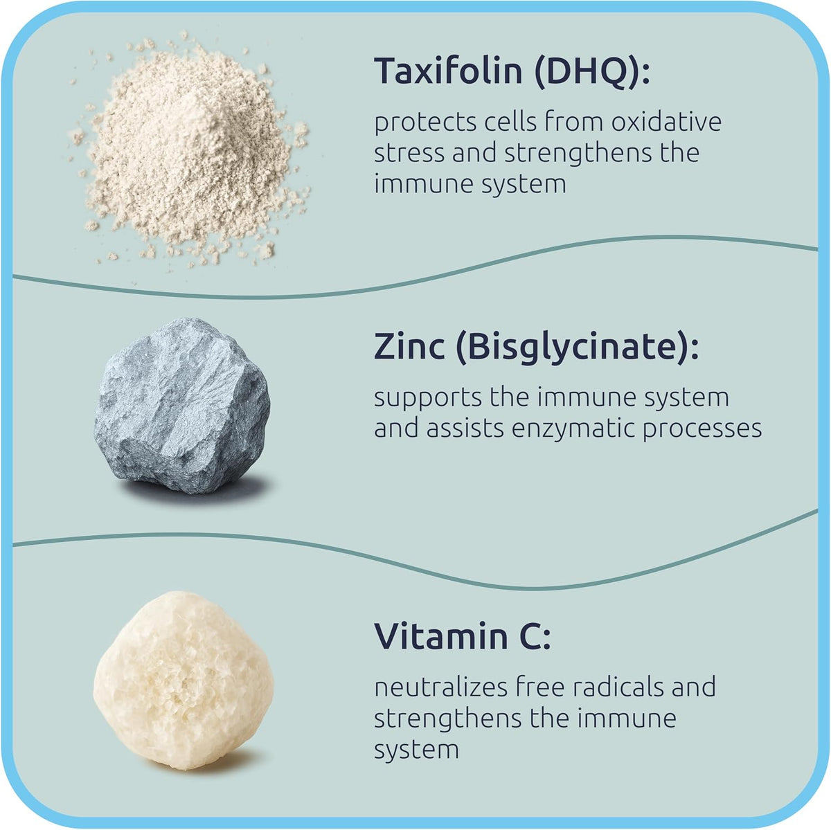 BiotaxX Taxifolin (Dihydroquercetin) + – Vitamina C: en forma de ácido ascórbico, una de las formas más – Image 4