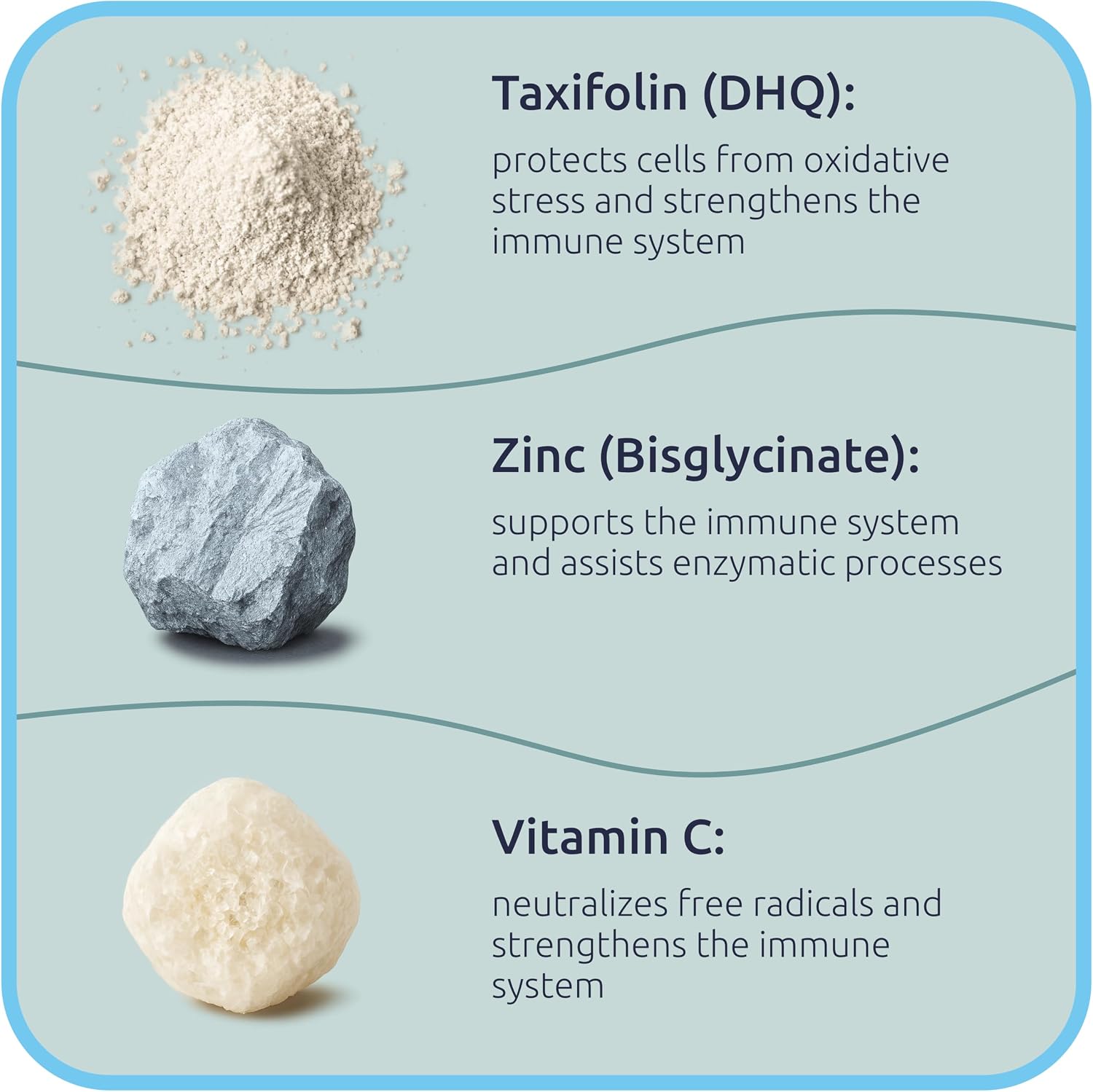 BiotaxX Taxifolin (Dihydroquercetin) + Vitamina C + Zinc – 500 mg, 60 Cápsulas Veganas
