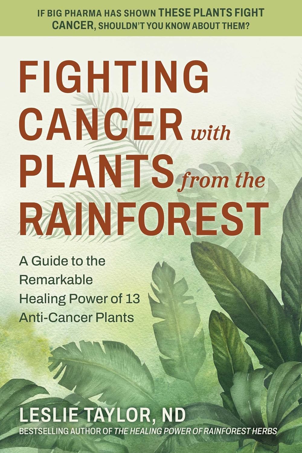 Lucha contra el cáncer con plantas de la selva tropical: Guía de 13 plantas anticancerígenas
