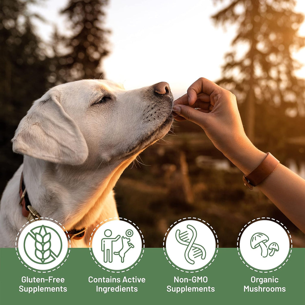 Aloha Medicinals K9 Immunity, 90 Cápsulas - Suplemento Inmunitario para Perros