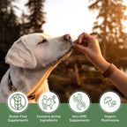 Aloha Medicinals K9 Immunity, 90 Cápsulas - Suplemento Inmunitario para Perros
