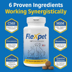 FlexPet Suplemento de Cadera y Articulaciones para Perros y Gatos - 180 Comprimidos (Sabor a Hígado de Cerdo)