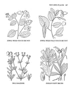 Usos Medicinales y Otros de las Plantas Norteamericanas: Un Estudio Histórico con Especial Referencia a las Tribus Indias Orientales