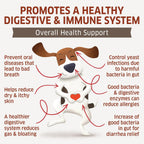 Fur Belly Probióticos para Perros con Prebióticos - 120 Masticables