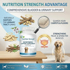 Nutrition Strength Suplemento para la Incontinencia en Perros, Apoyo Orgánico para el Control de la Vejiga, 120 Comprimidos Masticables