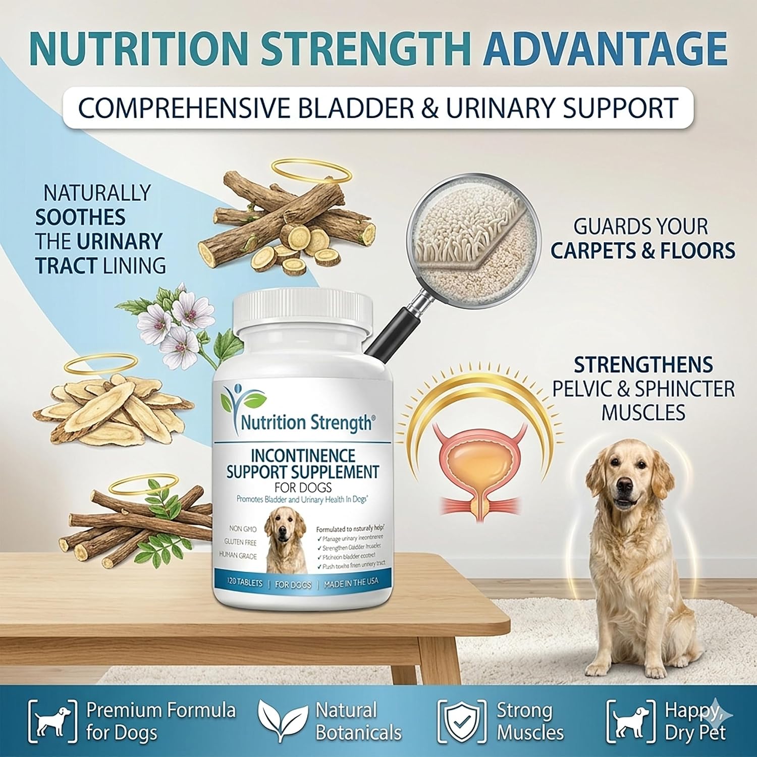 Nutrition Strength Suplemento para la Incontinencia en Perros, Apoyo Orgánico para el Control de la Vejiga, 120 Comprimidos Masticables