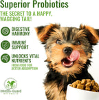 Probiotics Paste for Dogs Prebiotic for Canine, Gut Support, & Immune Boost, All Natural with 1 Billion per ML Includes (MOS)+ Beta Glucans + D-Mannose, No Animal by-Products - 60ML Single Tube