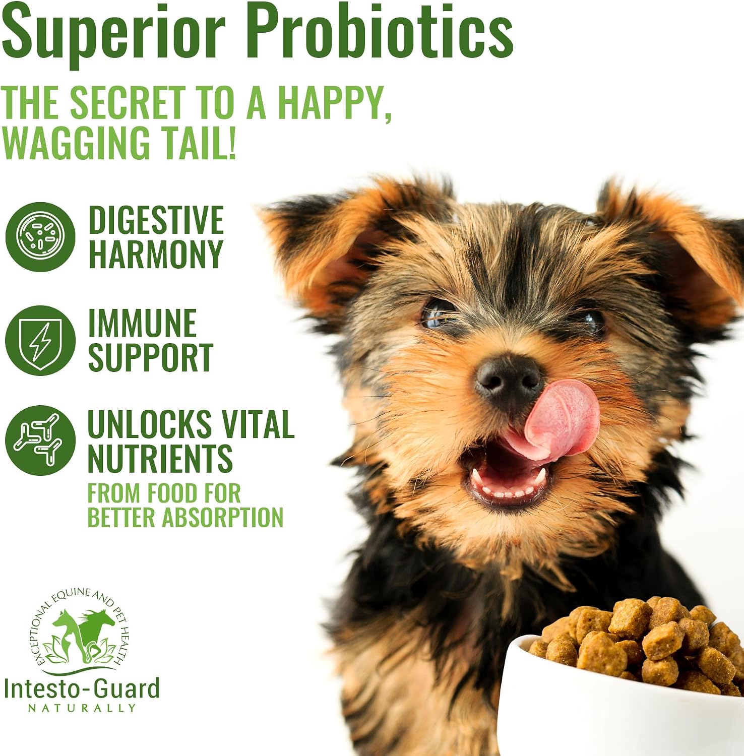 Probiotics Paste for Dogs Prebiotic for Canine, Gut Support, & Immune Boost, All Natural with 1 Billion per ML Includes (MOS)+ Beta Glucans + D-Mannose, No Animal by-Products - 60ML Single Tube