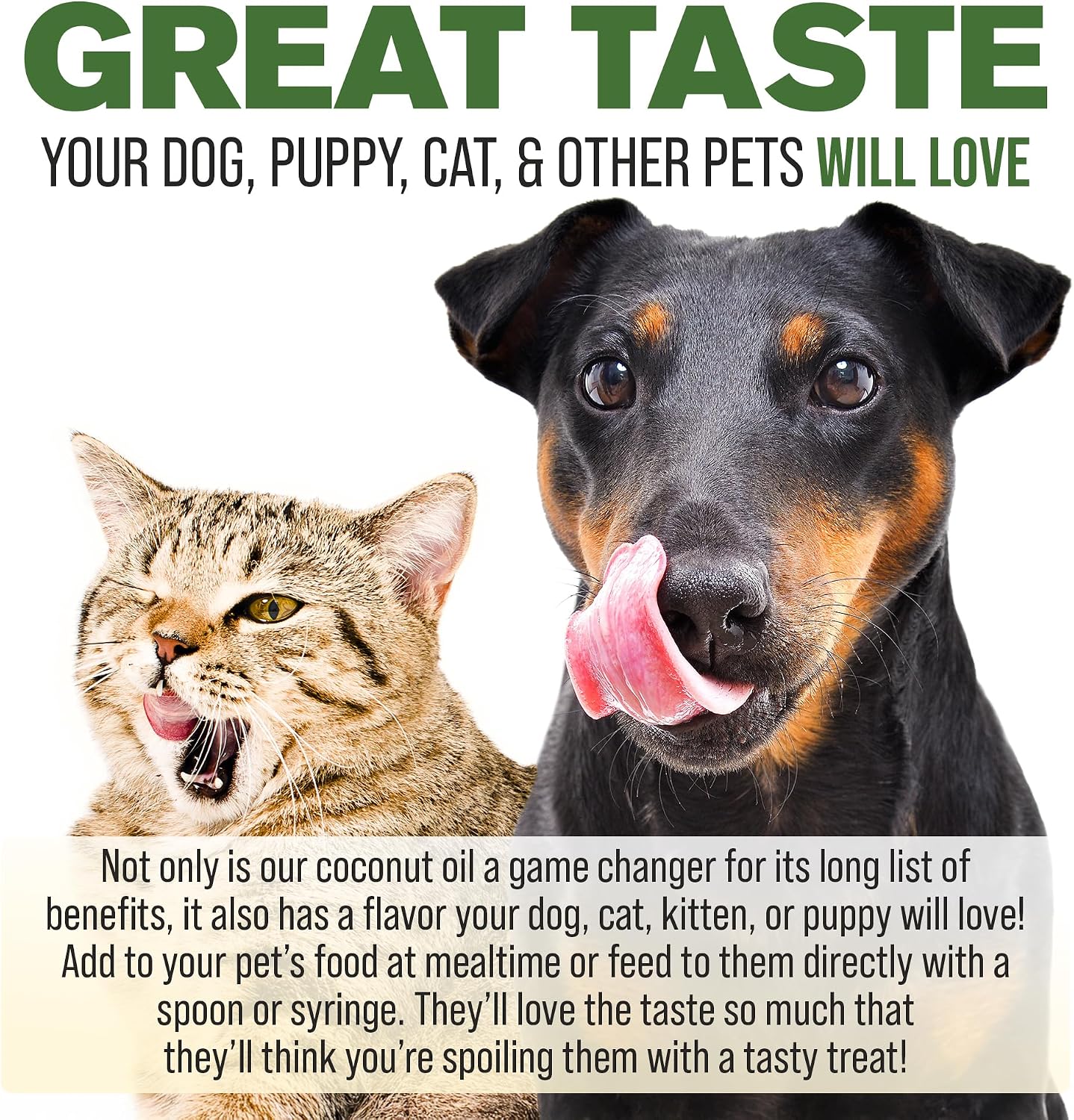 Aceite de Hemp para Perros y Gatos – Piel, Pelaje y Bienestar General con Aceite de Coco Orgánico y Vitamina E – 236 ml