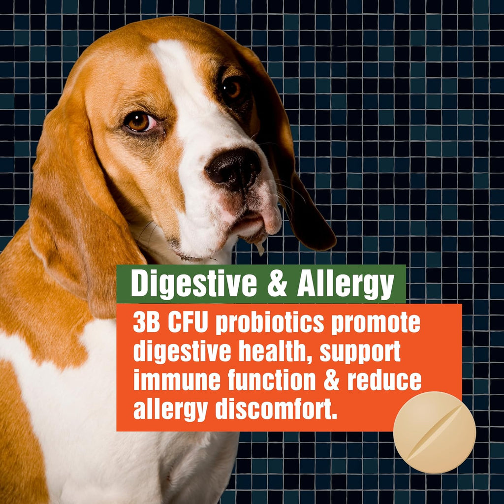 Probióticos para Perros - Alivio de Alergias y Picor - 3B UFC - 60 Masticables - Paws A Day
