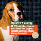 Probióticos para Perros - Alivio de Alergias y Picor - 3B UFC - 60 Masticables - Paws A Day