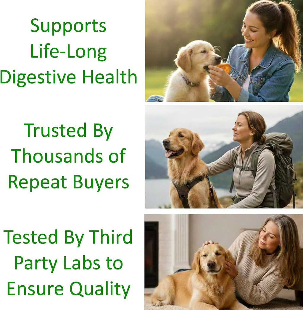 TummyWorks Probióticos para Perros y Gatos - 160 Dosis en Polvo con 10 Cepas, 5 mil millones de UFC, Enzimas y Prebióticos