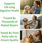 TummyWorks Probióticos para Perros y Gatos - 160 Dosis en Polvo con 10 Cepas, 5 mil millones de UFC, Enzimas y Prebióticos