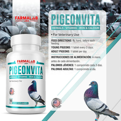 B12-5500 para Palomas - Complemento de – Plumaje saludable: Una adecuada nutrición con B12 favorece la síntesis de – Image 9