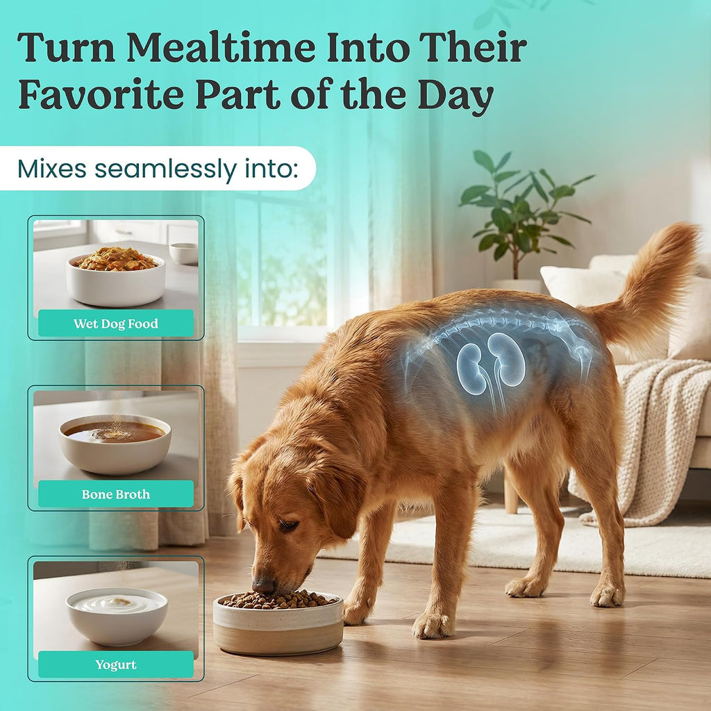 Doggie Herbs Apoyo Renal Orgánico para Perros Mayores - Polvo de Rehmannia y Cordyceps - Suplemento para la Salud Renal y de la Vejiga - Grado Humano