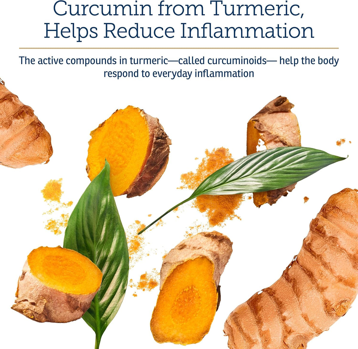 Rx Vitamins CurcuWIN - Curcumin for Dogs & – Apoyo al sistema inmunitario: la curcumina ayuda a modular las – Image 5