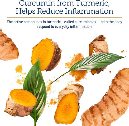 Rx Vitamins CurcuWIN - Curcumin for Dogs & – Apoyo al sistema inmunitario: la curcumina ayuda a modular las – Image 5