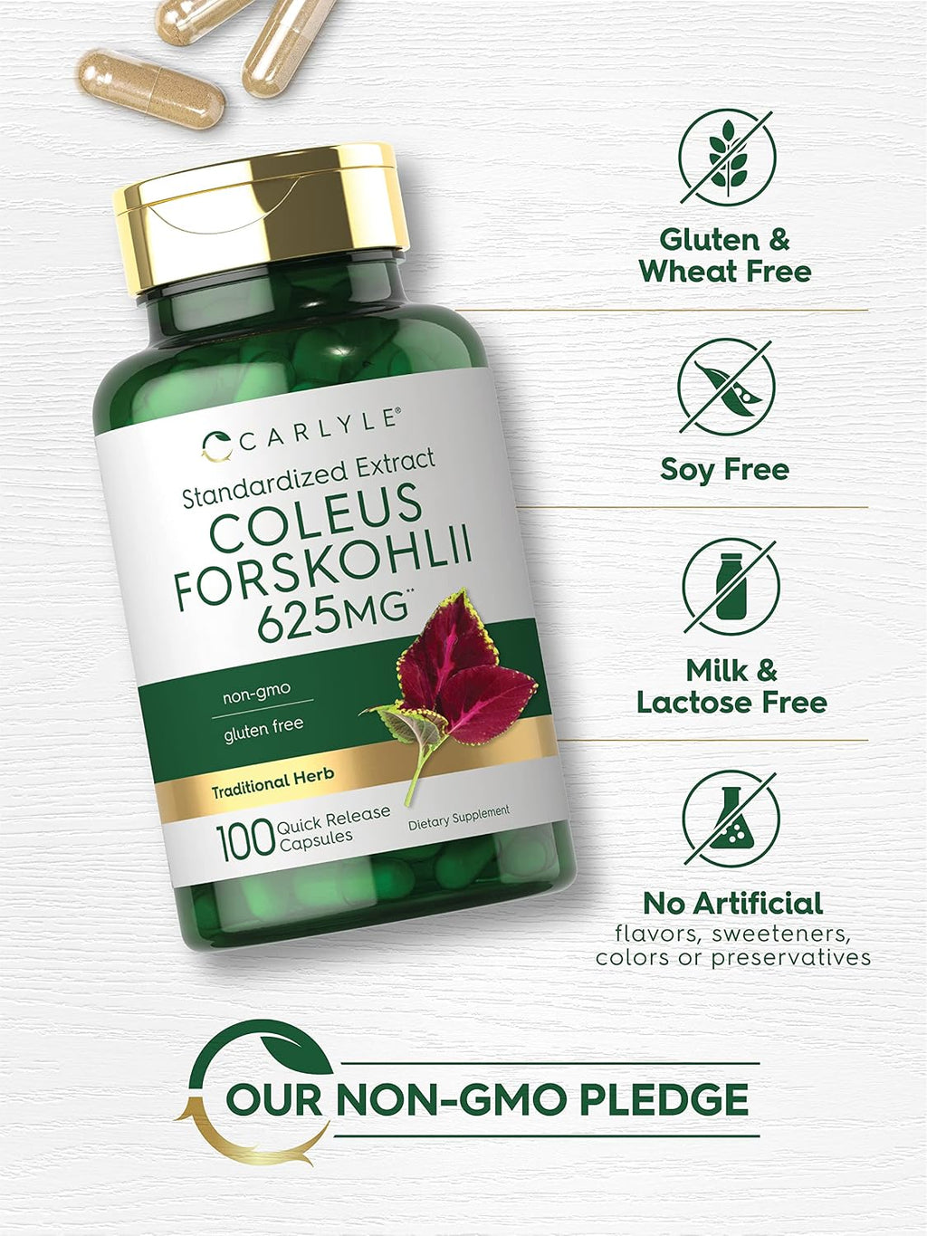 Carlyle Coleus Forskohlii Cápsulas - 100 Unidades | Extracto Estandarizado de Forskolina | Sin Gluten y No-GMO