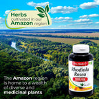 Rhodiola Rosea 1000mg 180 Cápsulas - Suplemento Adaptógeno de Alta Absorción