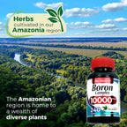 Boron 10 mg - 240 Porciones - Suplemento de Boro - FITO MEDIC'S Lab