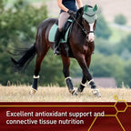 Vita Flex Pro Pure C Antioxidant – Suplemento de Vitamina C Pura para Caballos