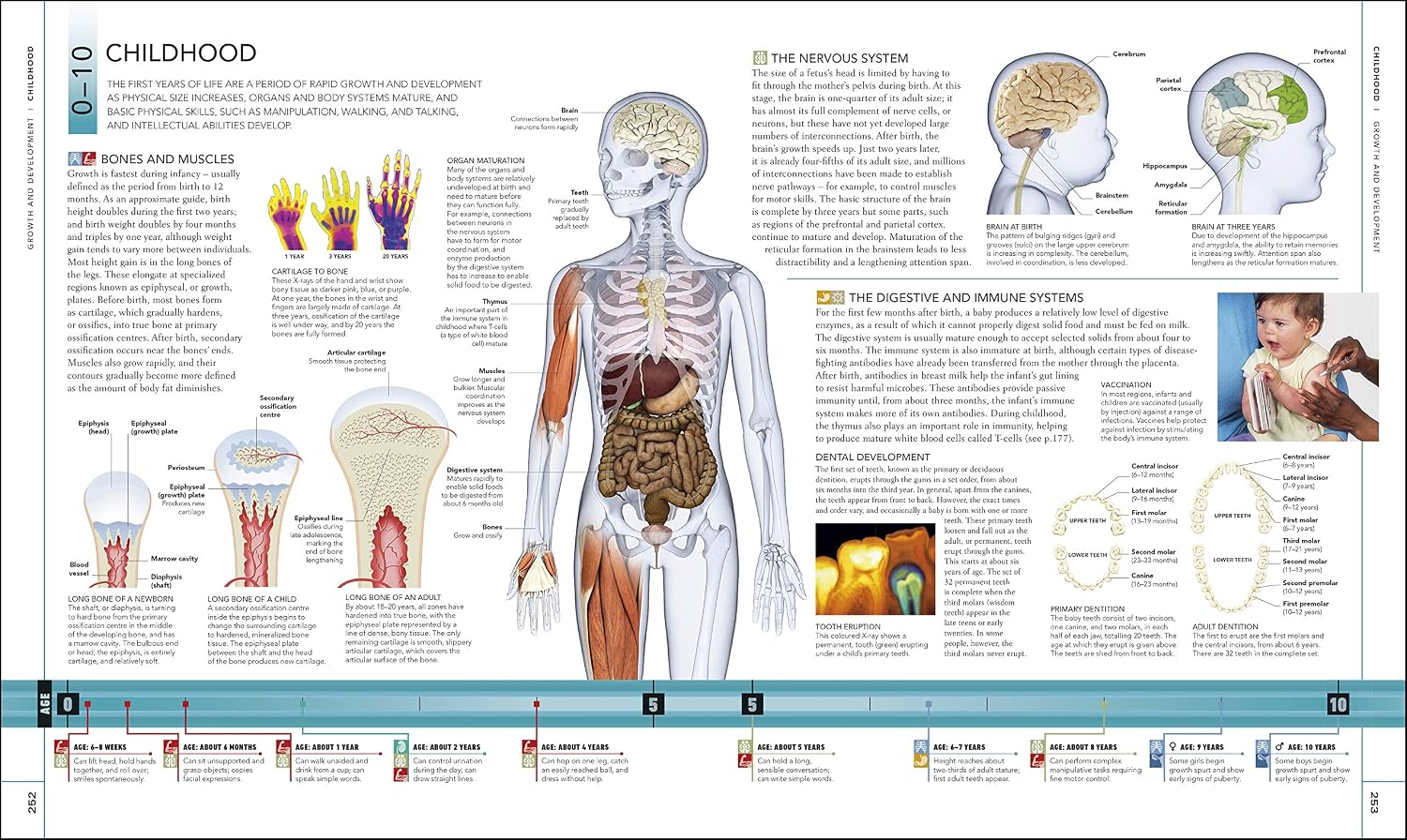 Libro del Cuerpo Humano