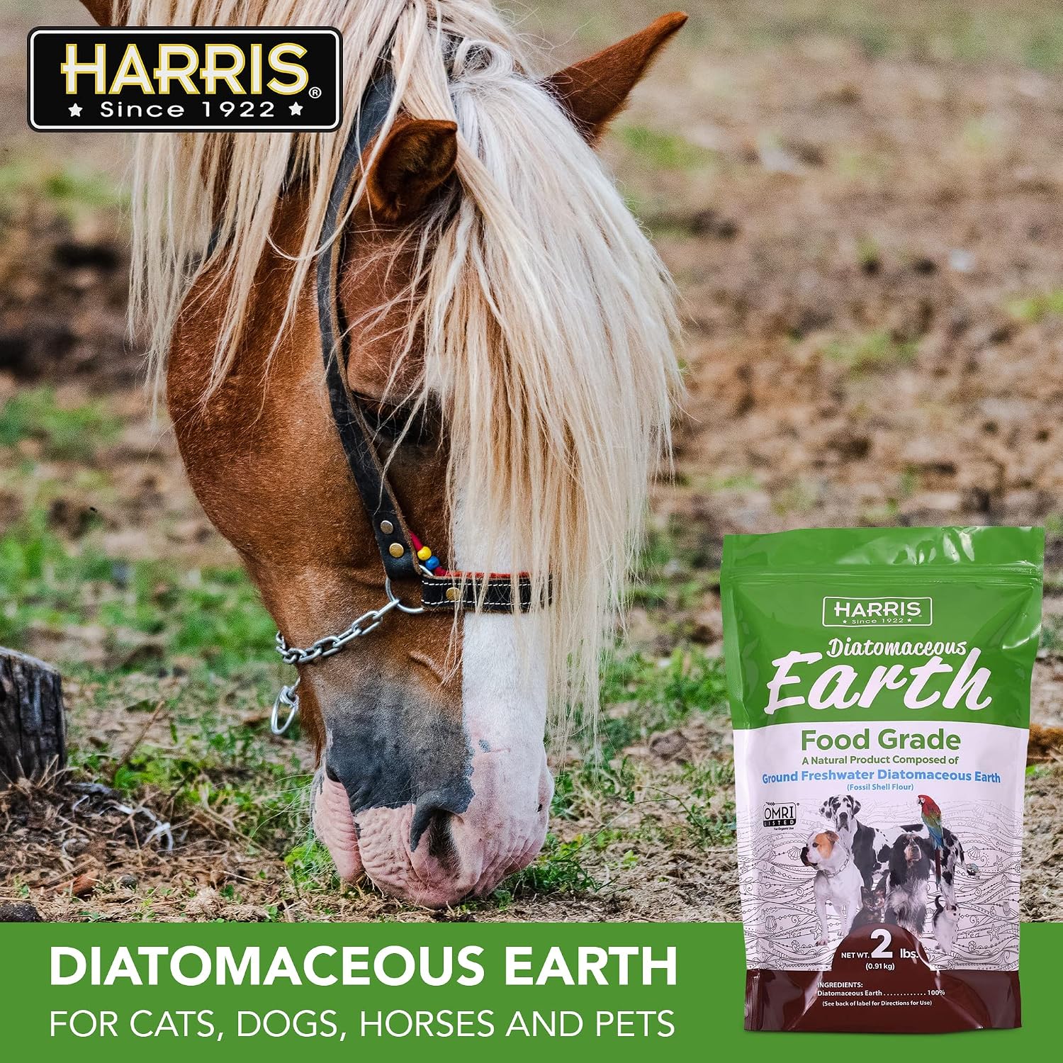 Harris Tierra de Diatomeas de Grado Alimenticio para Mascotas, 907 g